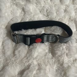 Dog Collar 