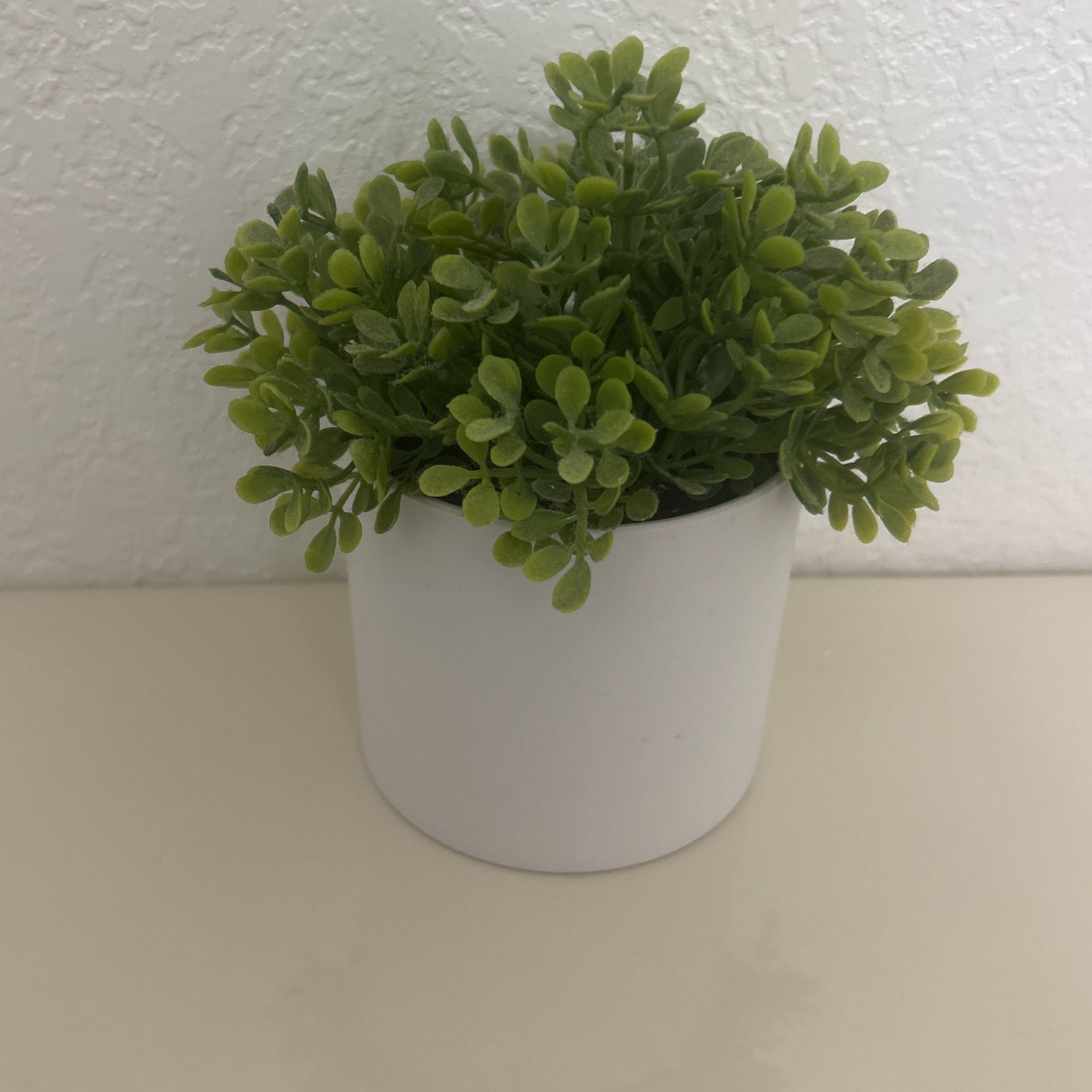Fake Little Plant