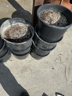 Pots