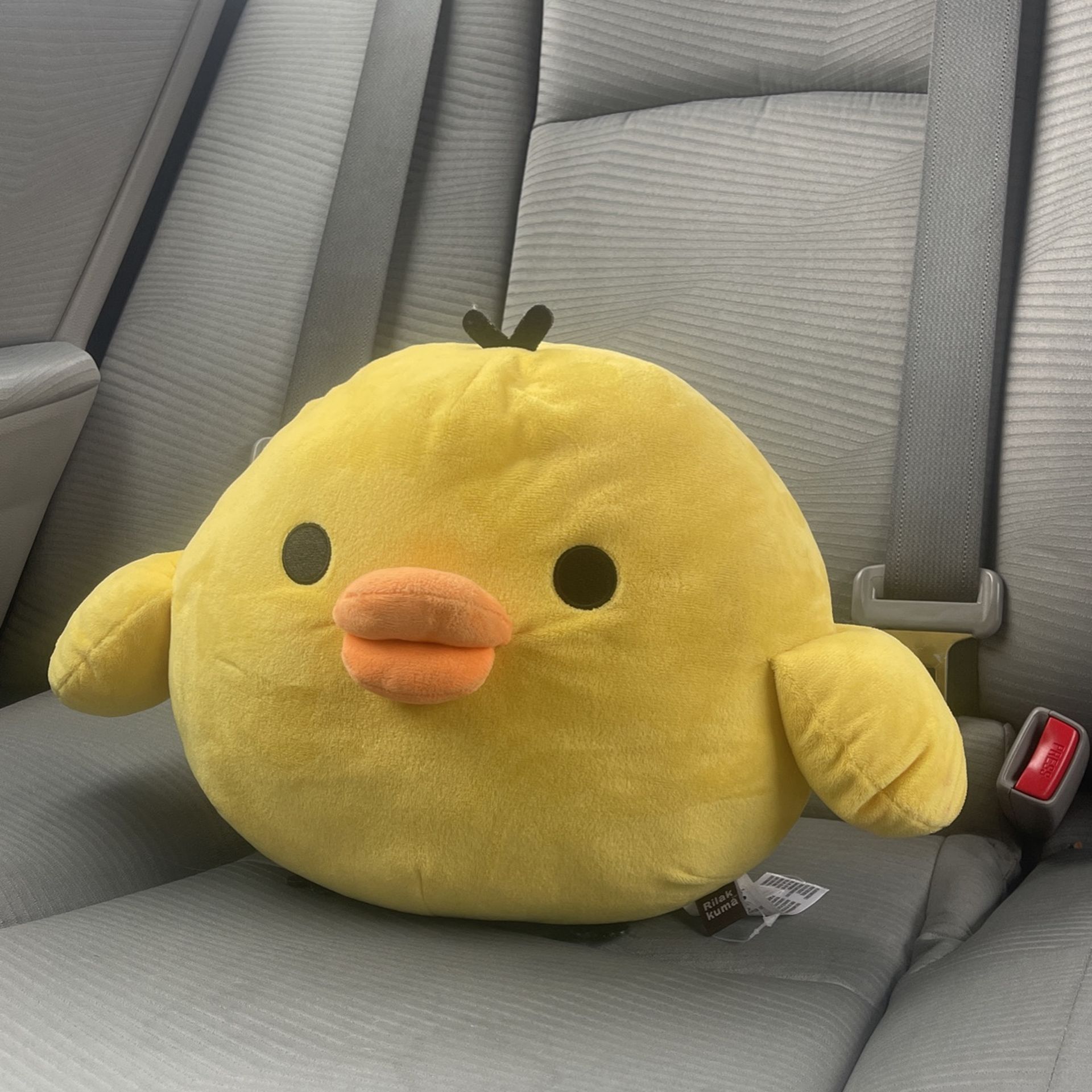 Duck Plushie