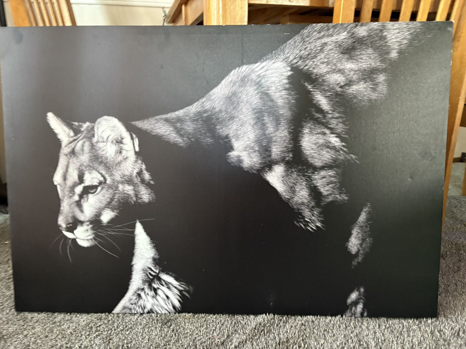 Beautiful Animal Portrait 