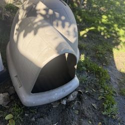 Dog House 