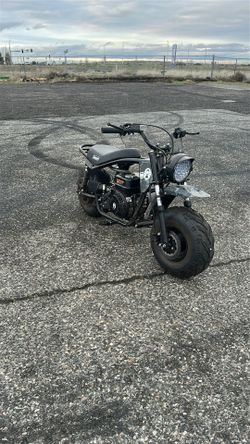 coleman b200 RSV