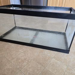 Reptile/Aquarium Tank 40 Gal Plus All Filters And Other Accessories 