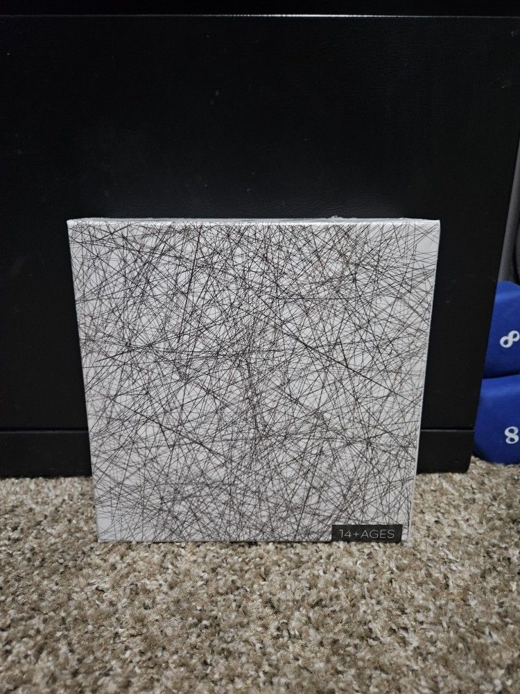 Bgraamiens Lines Jigsaw Puzzle 1000 Piece