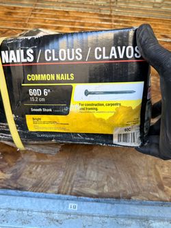 60D 6" Common Nails 50 lb Box turf nails