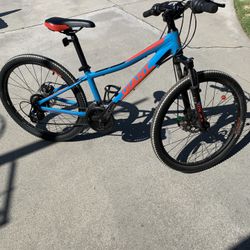 Giant XTC Junior Mountain Bike
