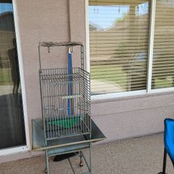 Bird Cage