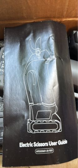 Electric Caesar