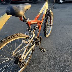 Adult mountain bike