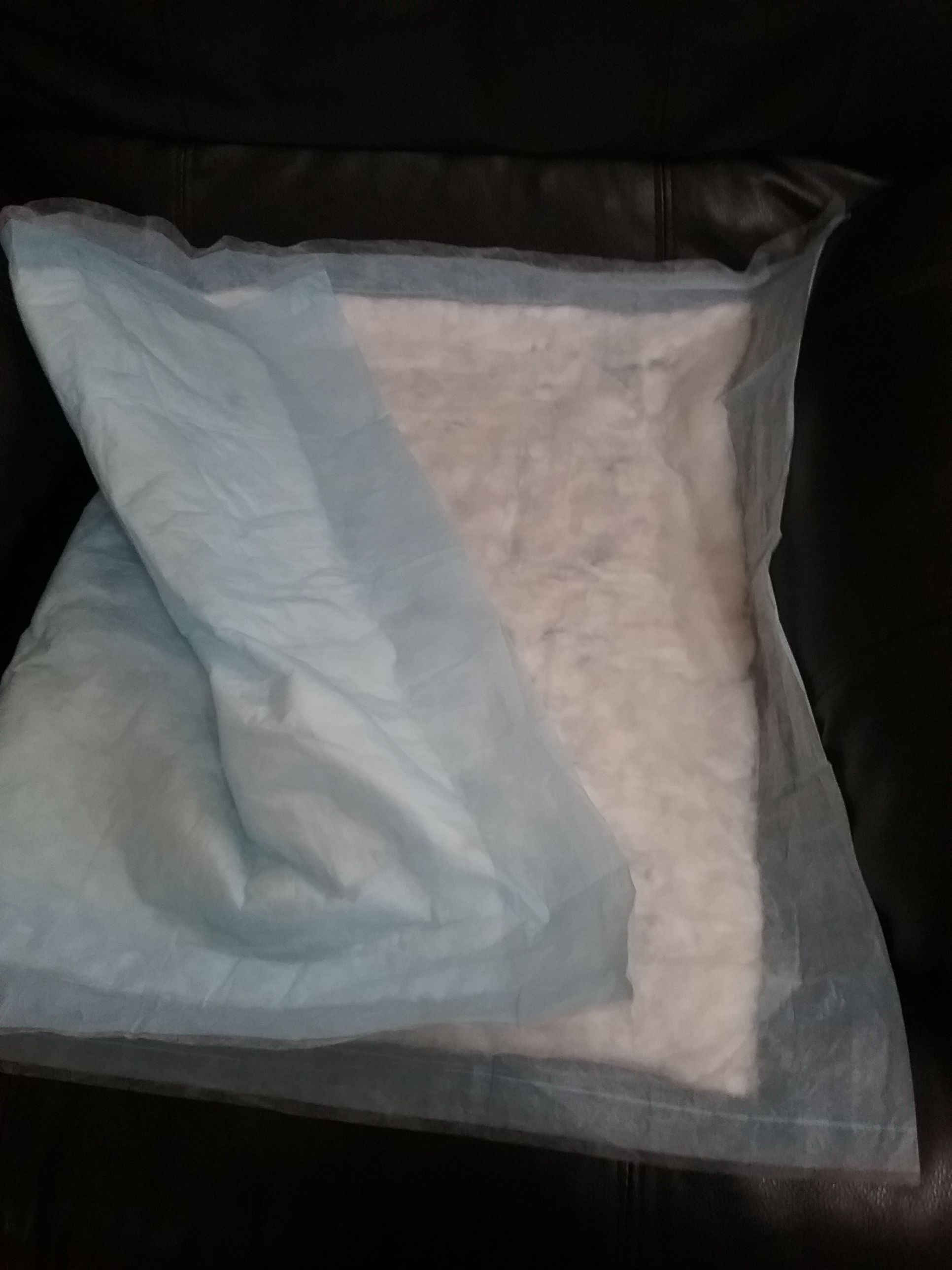 BED PADS OR PET PADS