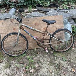 Bike Dyno Blaze With With Slope Frame Vintage 