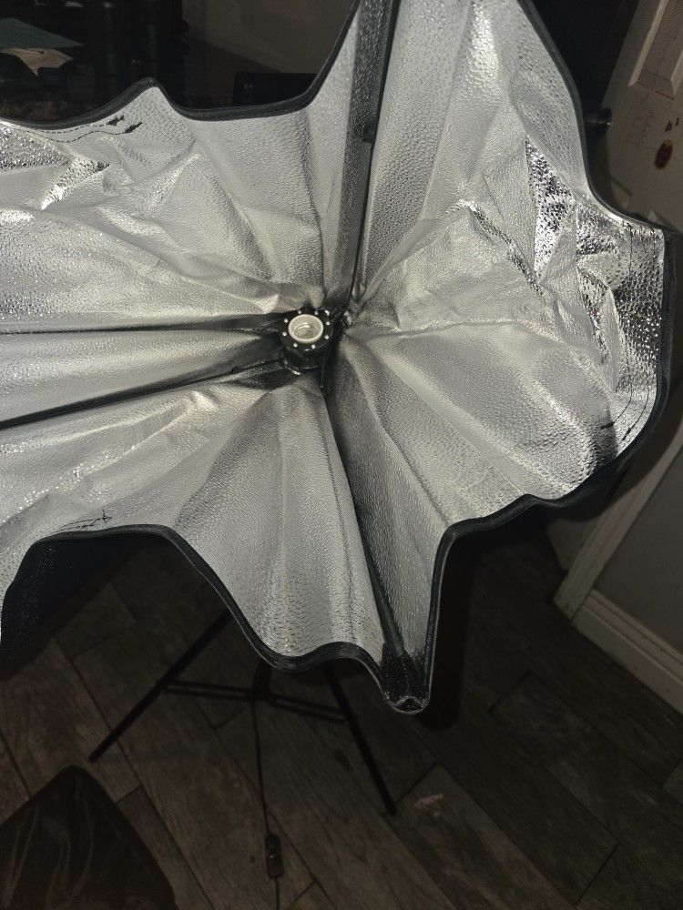 Studio Lights (1 Pair)