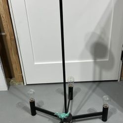 Chandelier / Light Fixture.   Rustic