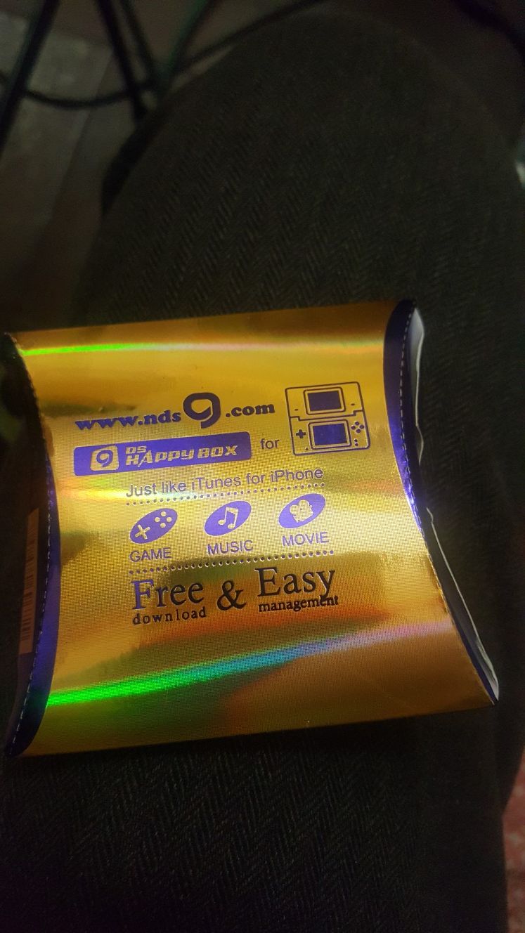 Nintendo DS Cartridge for Rom Gaming!