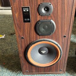 Moving must sell! Cerwin-Vega! House Speakers