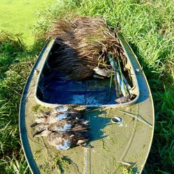 1953 Alumacraft Ducker