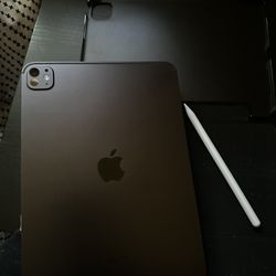 2024 Pad Pro 11-inch M4 256 GB Black (Comes With Apple Pencil Pro And Case/Screen protector)