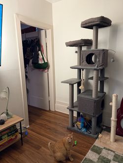 Cat tree