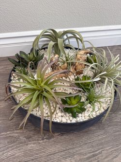 18” W Artificial Succulent Arrangement