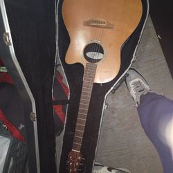 Ovasion Guitar 