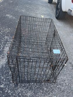 Large Kennel