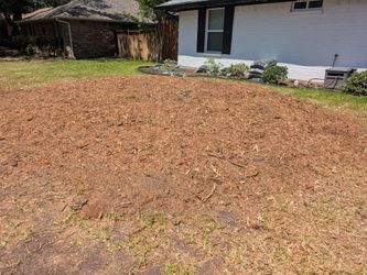Red Oak Mulch - FREE