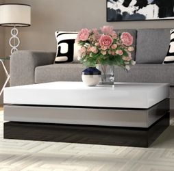 Modern & Elegant Coffee Table