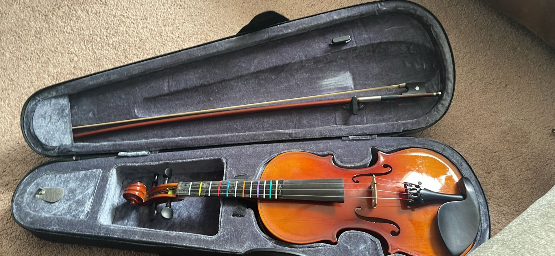 Violin