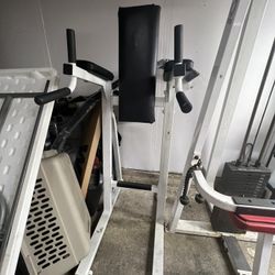Roman Chair GYM Grade Solid