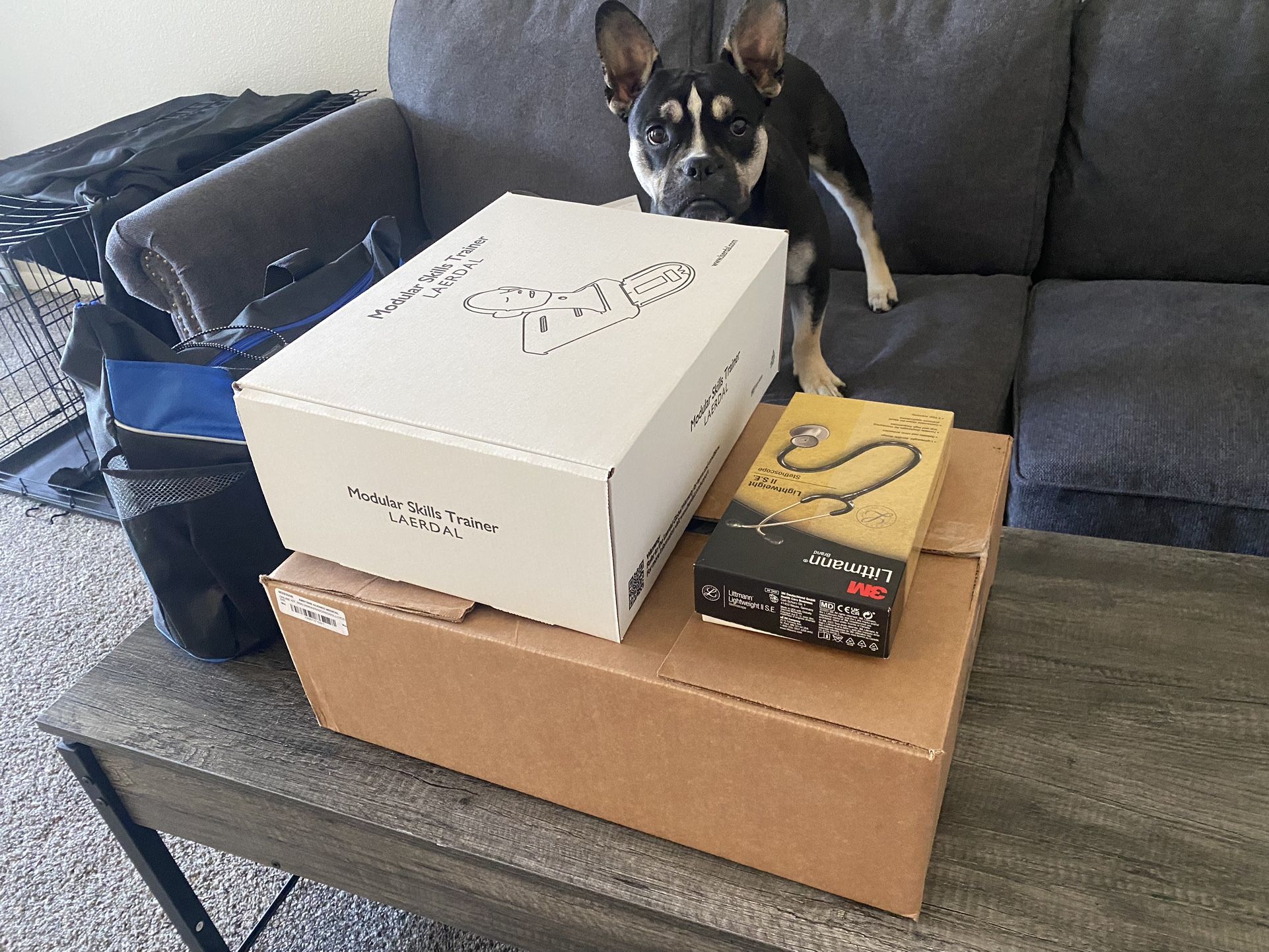 Nursing Medical Training Supplies