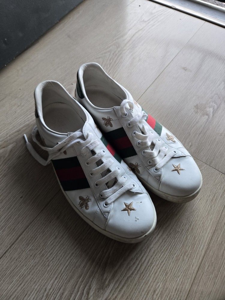 Gucci sneaker