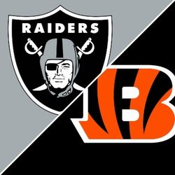 Bengals vs Raiders Section 345
