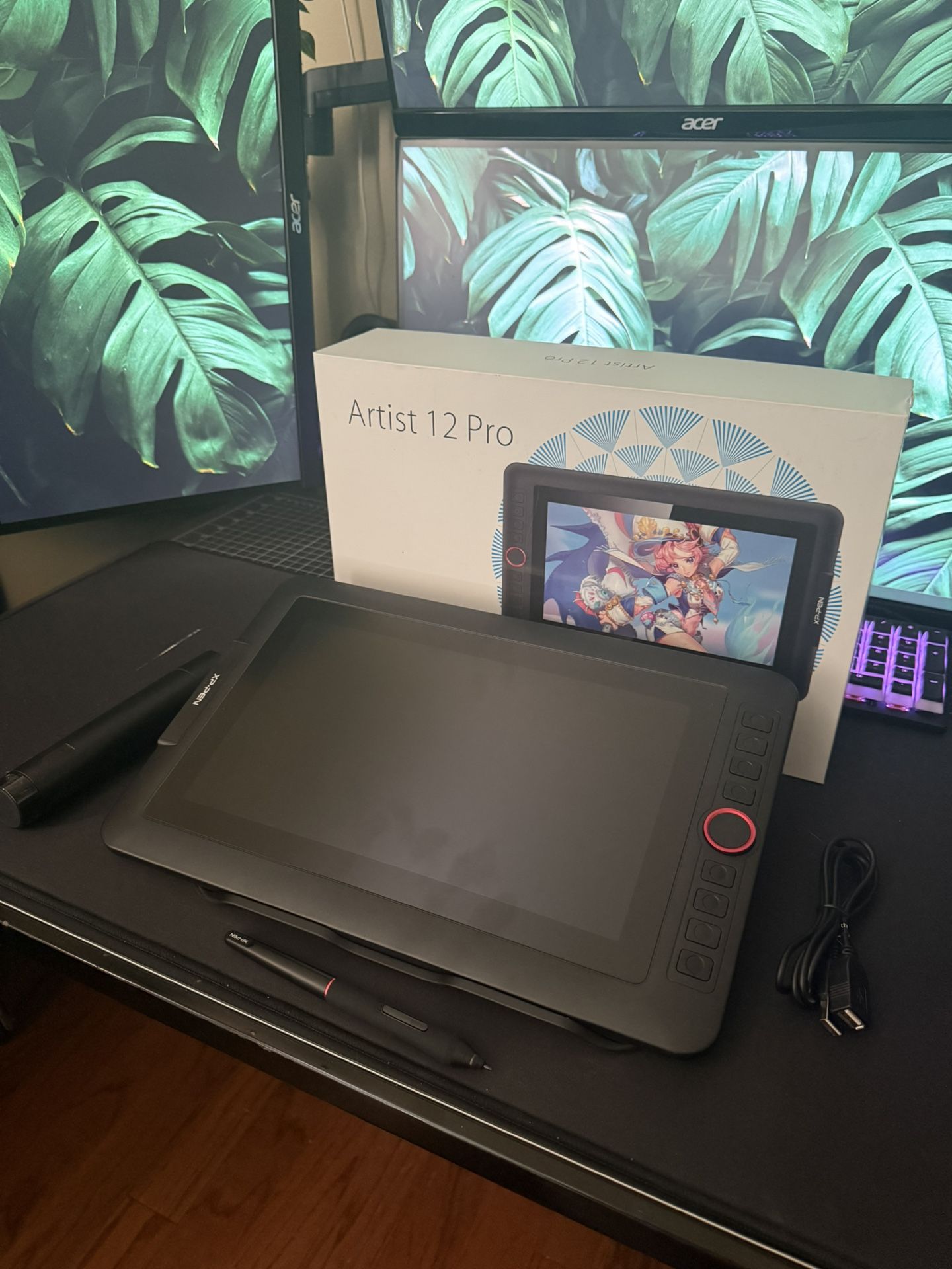 XP Pen Artist Pro 12 Drawing Tablet