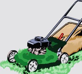 Lawn cut