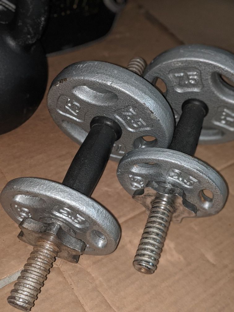 Adjustable DB handles and weights