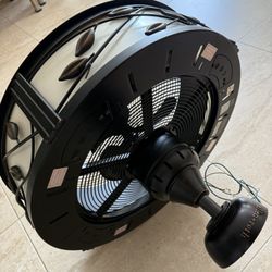 Fan  A L L E N - R O T H