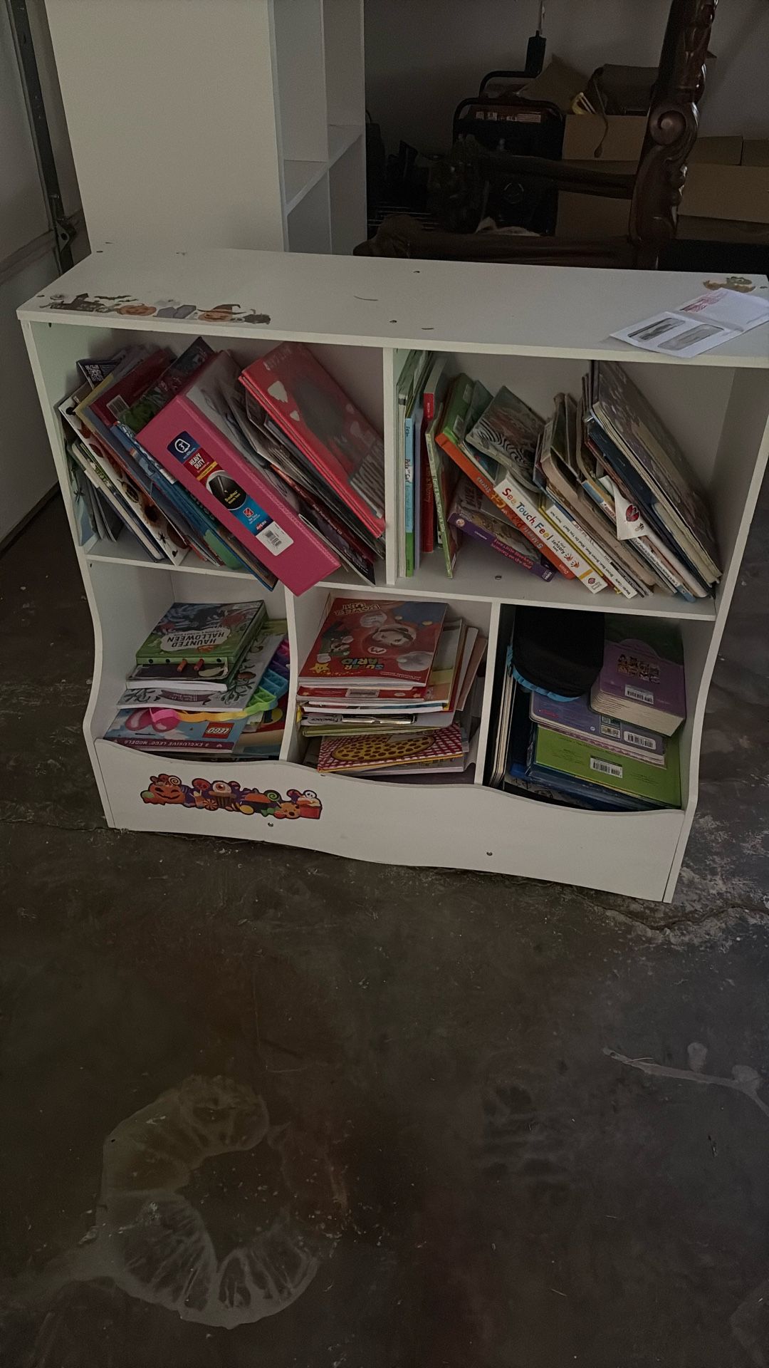 Bookshelves With All The Books!