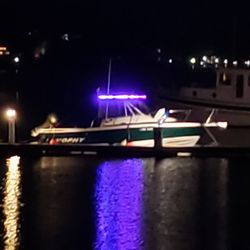 2010 Trophy 2352 walkaround w/ cuddy cabin