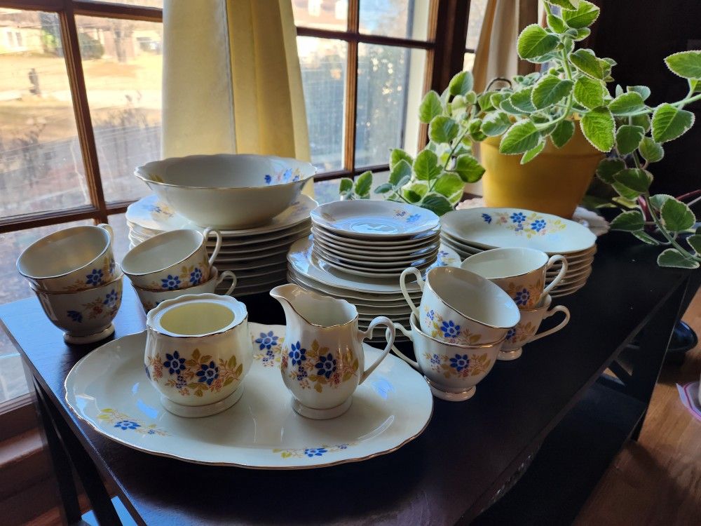 Budlet Fine China Dinnerware Set (44 Piece)