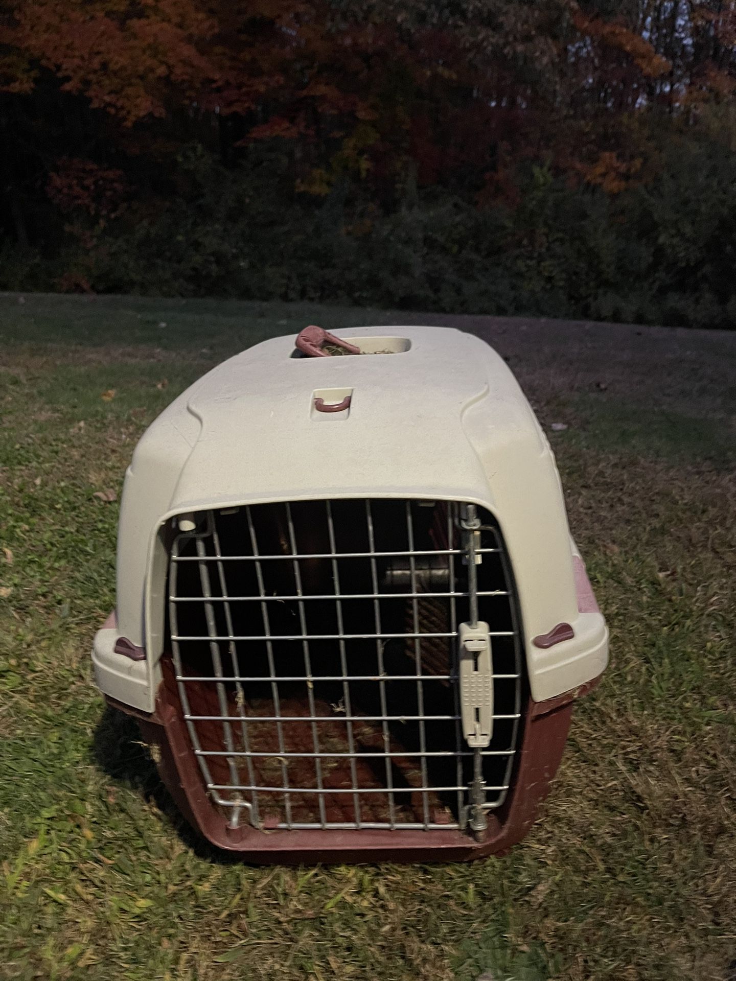 Animal Cage