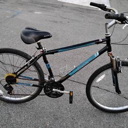 Diamondback Wildwood CM Mountain Bike