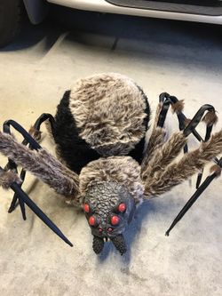 New 6ft Giant Spider with light up eyes