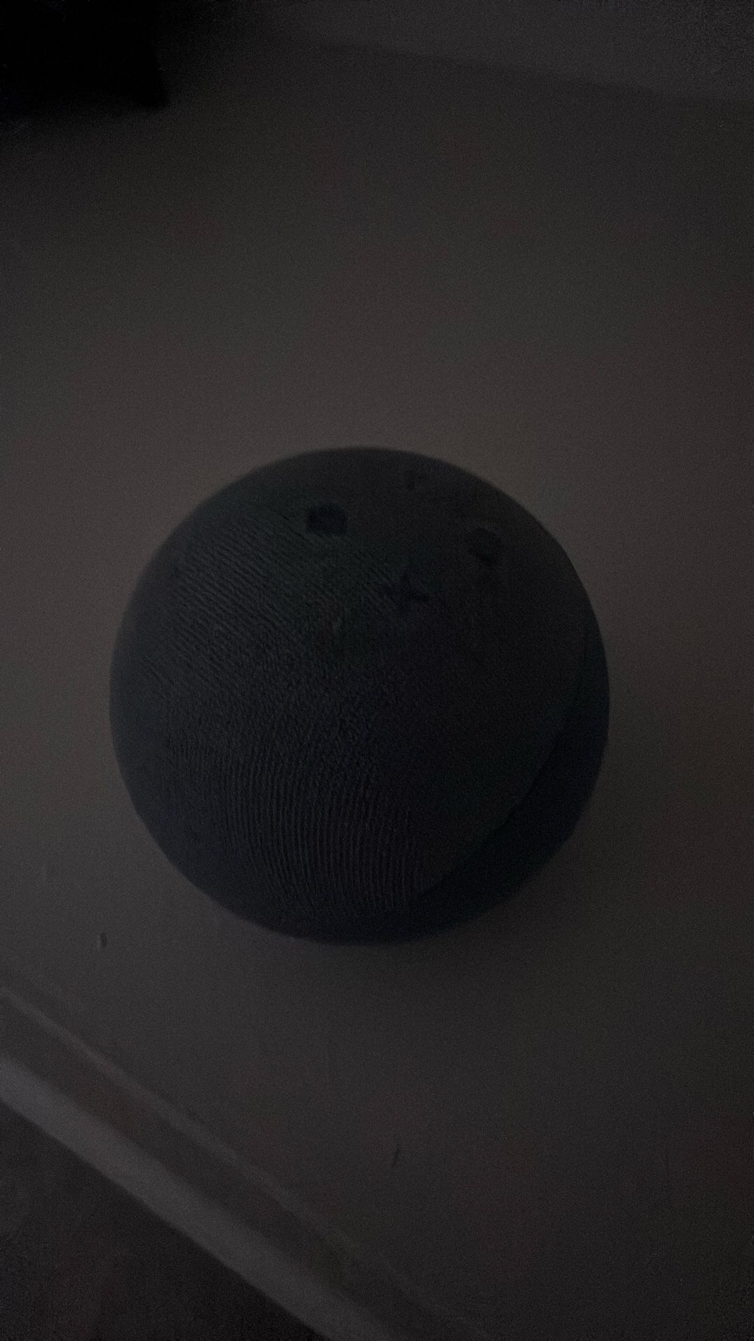 Alexa echo dot