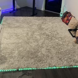 Beige/Gray Carpet 