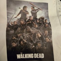 Walking Dead Picture Poster 