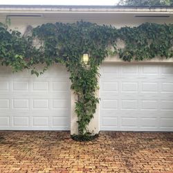 Garage Door 