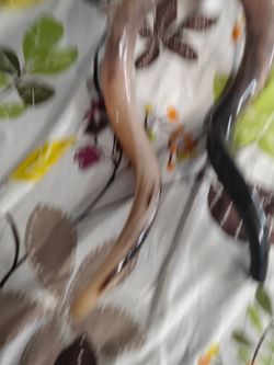 Shofar