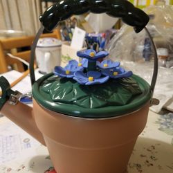 Stainless Steel Cooking Pot