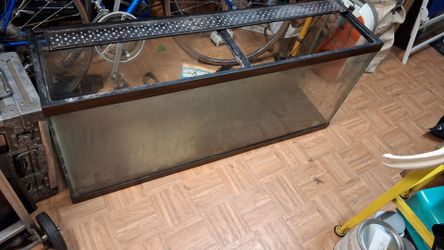 75 gallon tank free